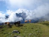 via-alpina-été-0168