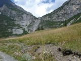 via-alpina-été-0114