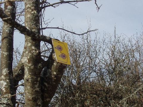 image11.jpg