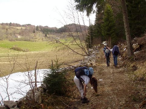 image12.jpg