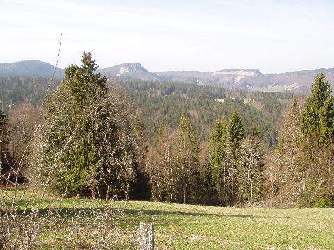image23.jpg