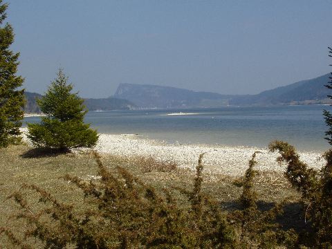image34.jpg