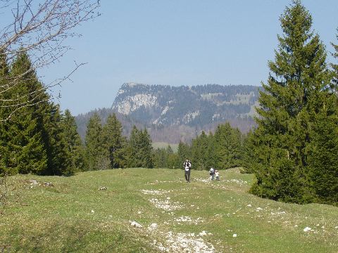 image35.jpg