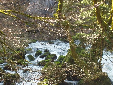 image41.jpg
