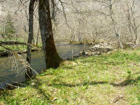 image44.jpg