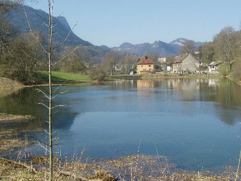 image46.jpg