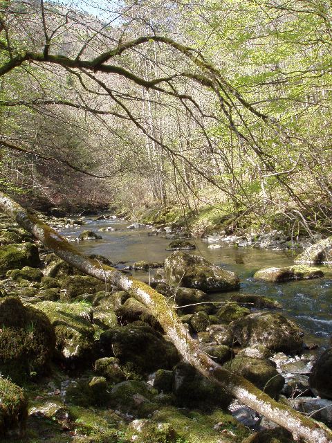 image49.jpg