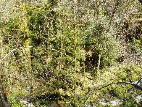 image6.jpg