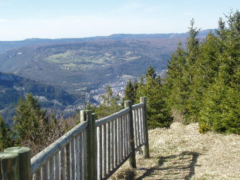 image8.jpg