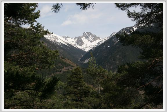 nice-1042