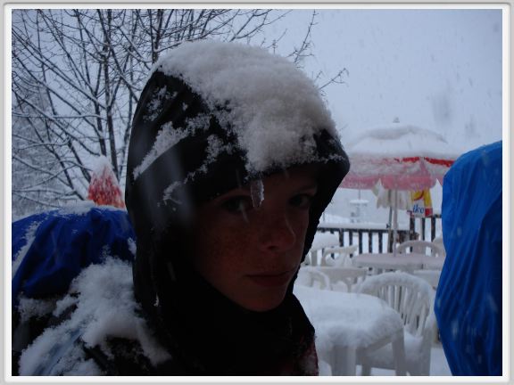 nice-1060
