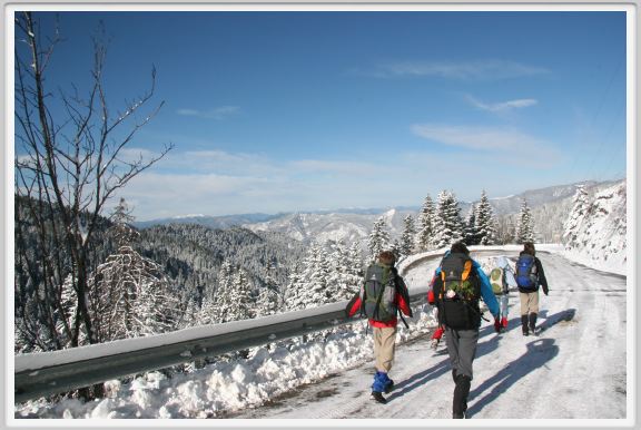 nice-1064
