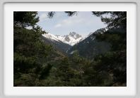 nice-1042