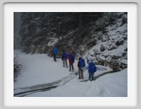 nice-1059