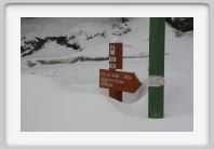 nice-1061