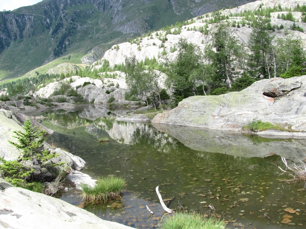 ViaAlpina-4-AlpStock-Riederalp - 07