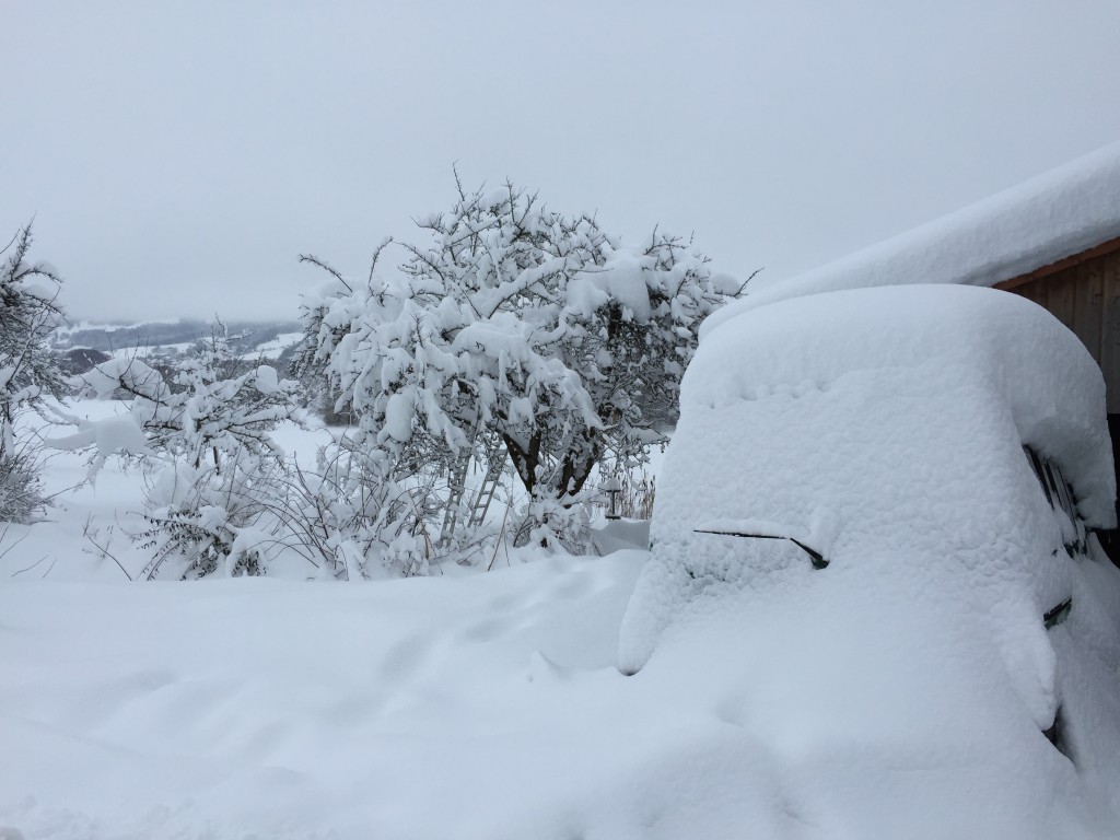 Neige de début 2015