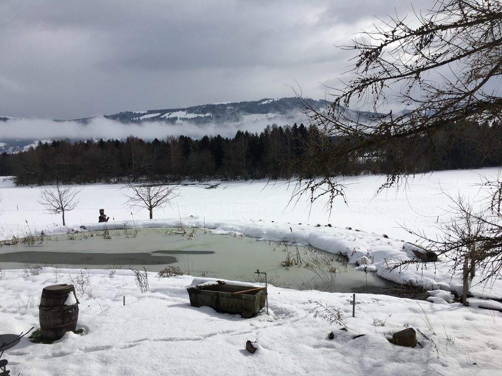 13 février 2016